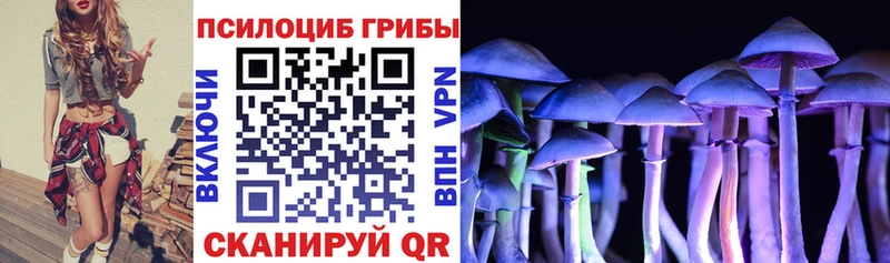 Псилоцибиновые грибы Cubensis  Харабали 